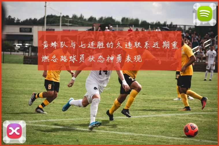 黄蜂队与七连胜的久违联系近期重燃各路球员状态神勇表现